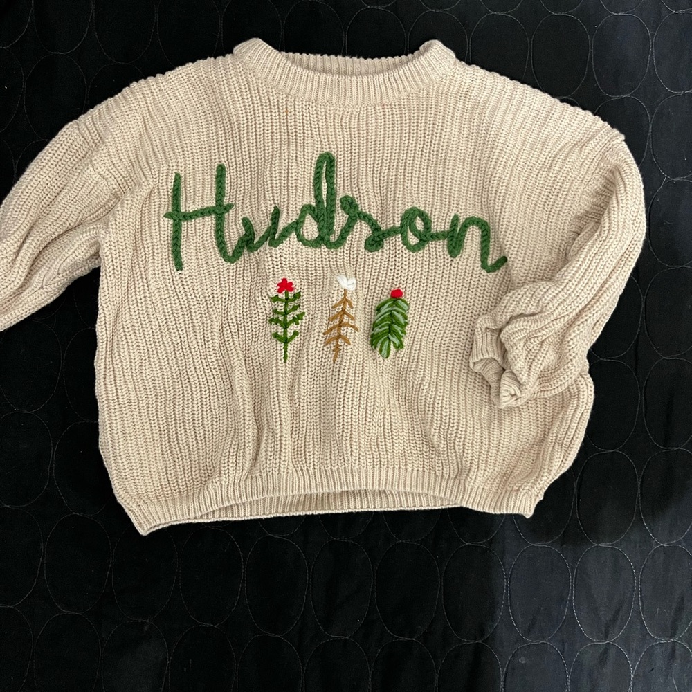 Hudson Knit Sweater with Green Accents